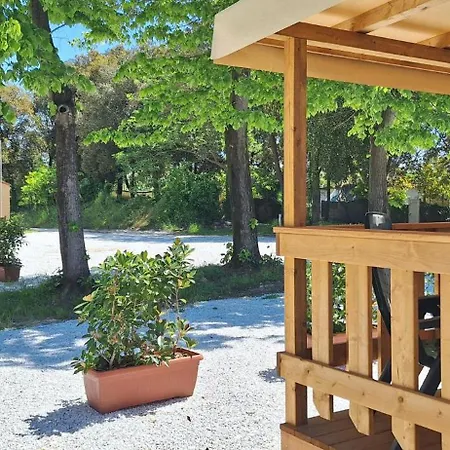 Campsitechalet In Near Sea Incl Airco Viareggio