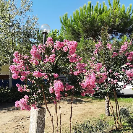 샬레 Campsitechalet In Near Sea Incl Airco 비아레지오