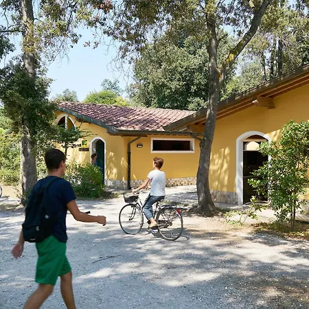 Campsitechalet In Near Sea Incl Airco 비아레지오