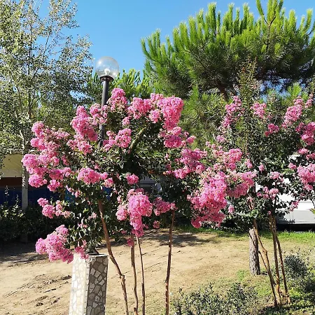 Campsitechalet In Near Sea Incl Airco * 비아레지오